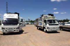 WhatsApp-Gorsel-2025-05-08-saat-17.25.42_15751fe1